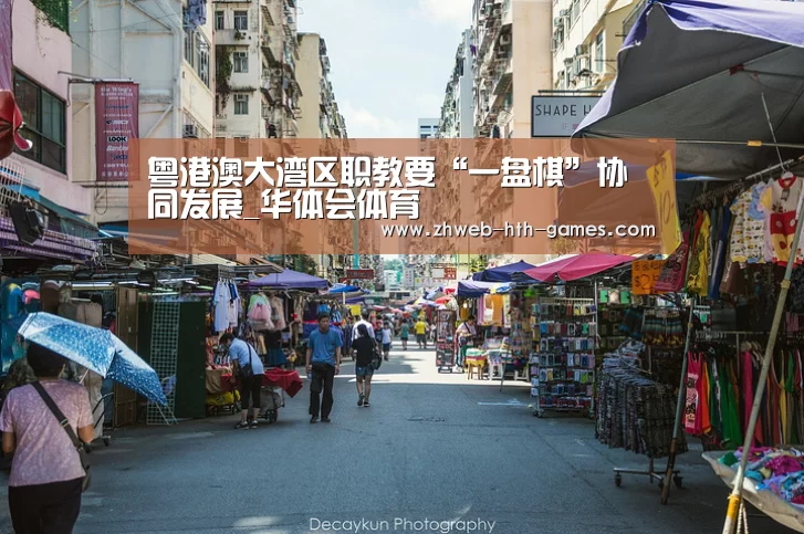 粤港澳大湾区职教要“一盘棋”协同发展_华体会体育(图2) 华体会体育
