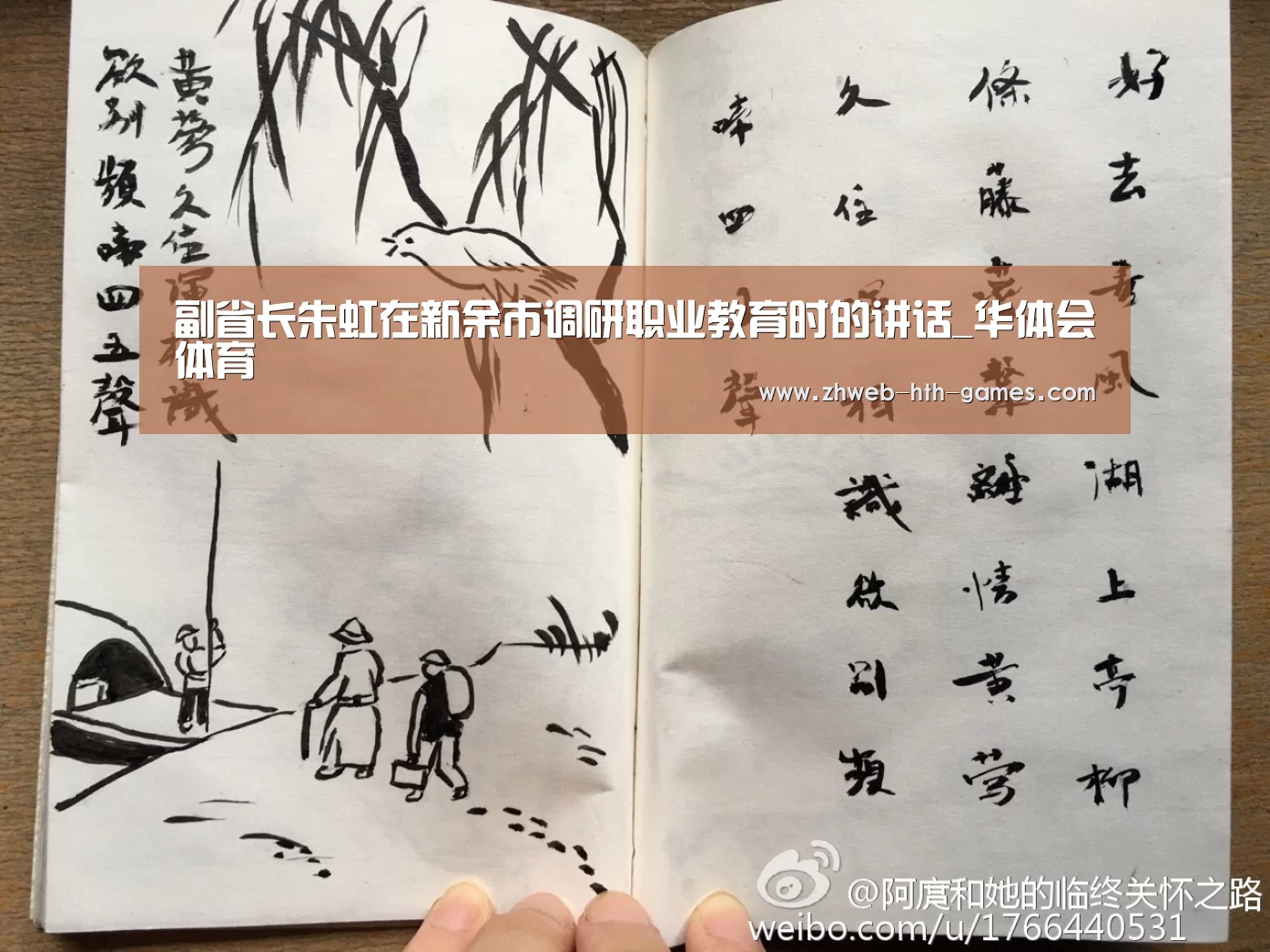华体会体育