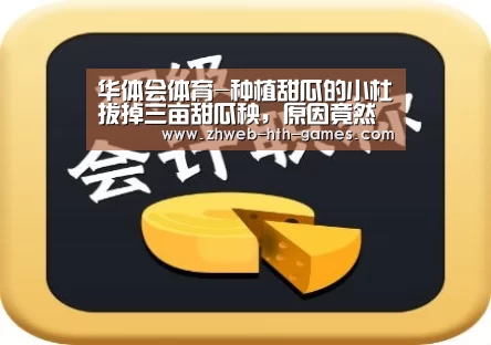 华体会体育-种植甜瓜的小杜拔掉三亩甜瓜秧,原因竟然是?(图1) 华体会体育