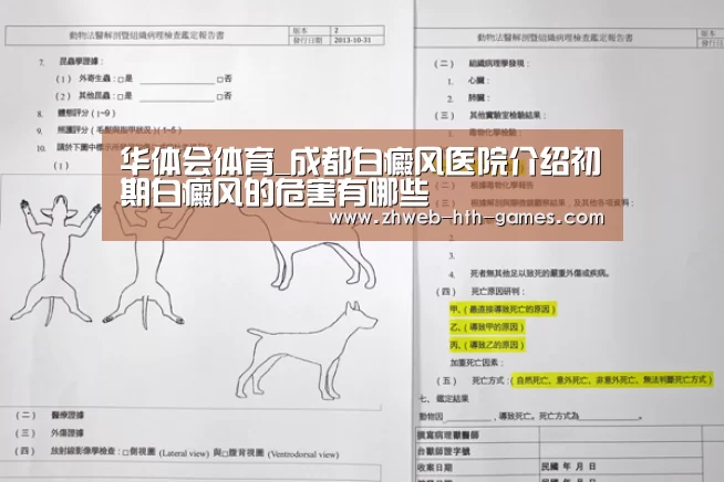华体会体育