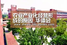 华体会体育