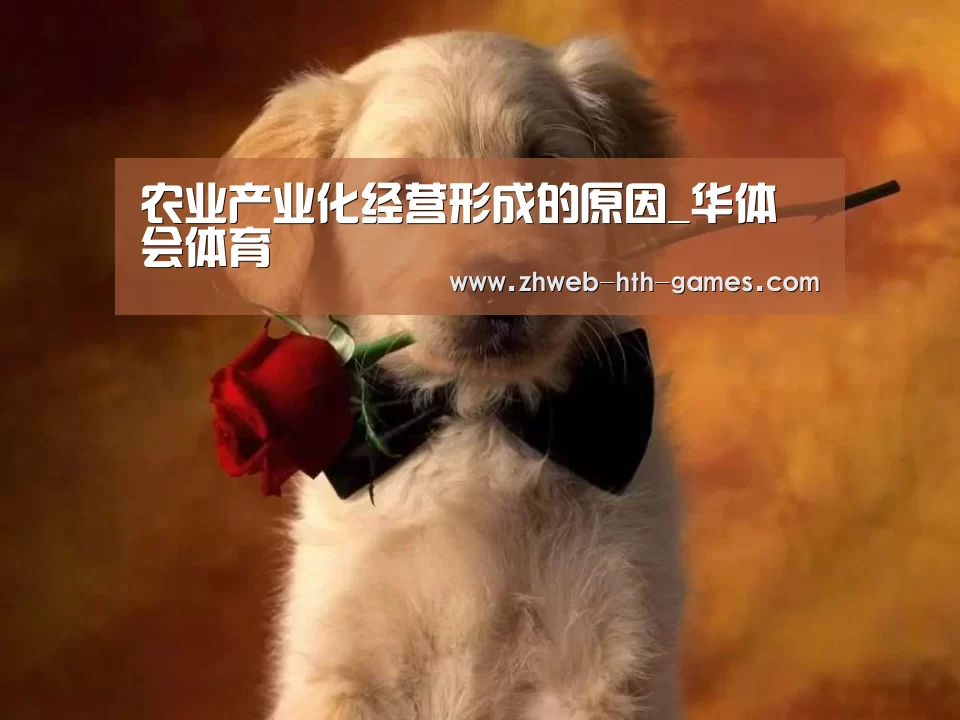 华体会体育