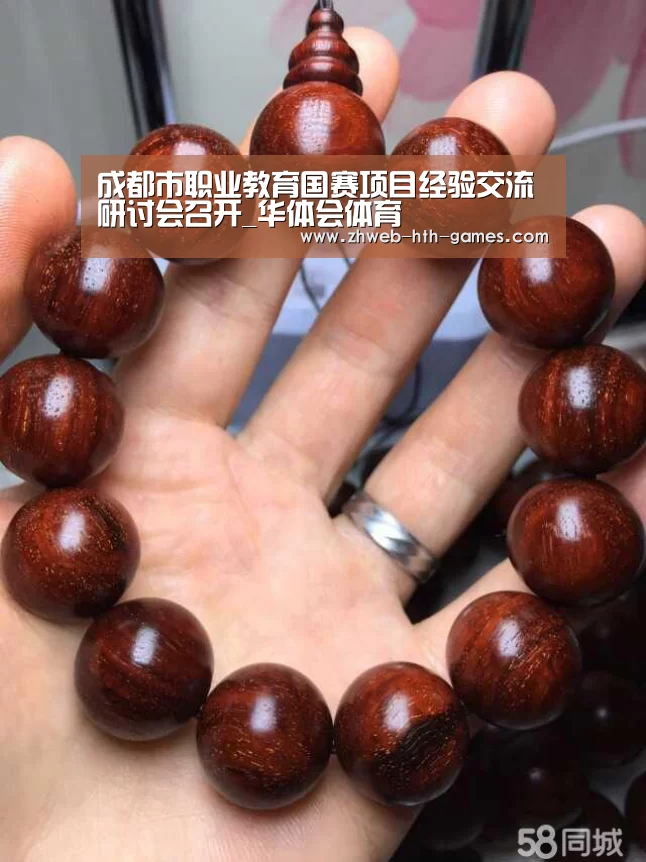 成都市职业教育国赛项目经验交流研讨会召开_华体会体育(图2) 华体会体育
