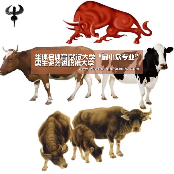 华体会体育|武汉大学“最小众专业”男生逆袭进哈佛大学(图1) 华体会体育