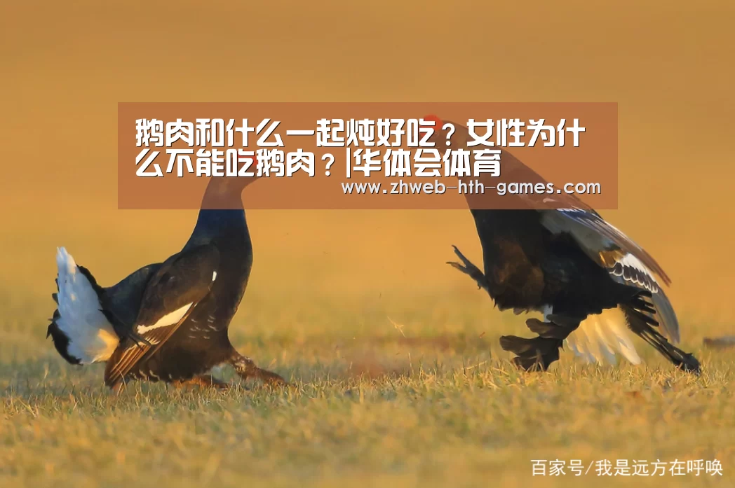 华体会体育