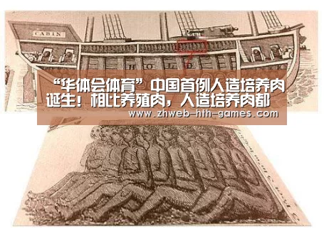 “华体会体育”中国首例人造培养肉诞生!相比养殖肉,人造培养肉都有哪些优势及劣势?(图1) 华体会体育
