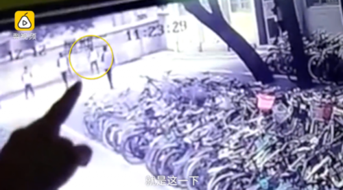 华体会体育:南京高职教师不出国门也能接受“双元制”培训(图1) 华体会体育