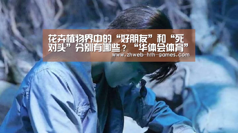 华体会体育